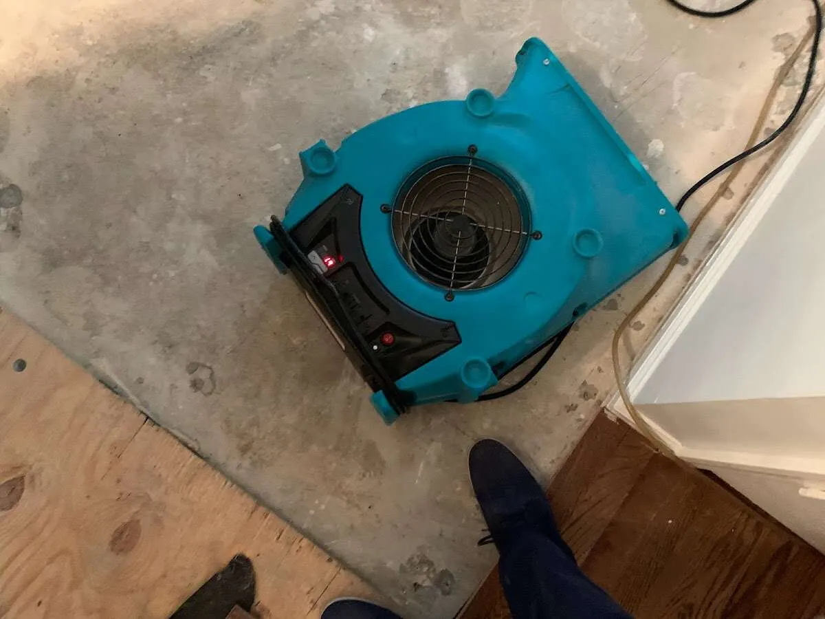 Air mover drying subfloor during Commercial Water Damage Restoration in Clearwater